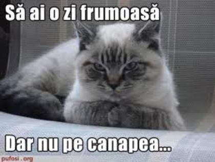 images (45)
