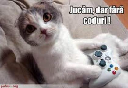 images (51)