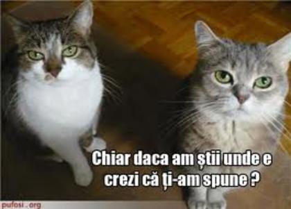 images (58)