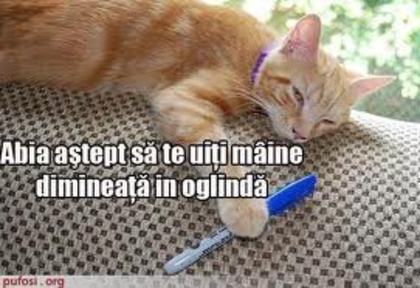 images (67)