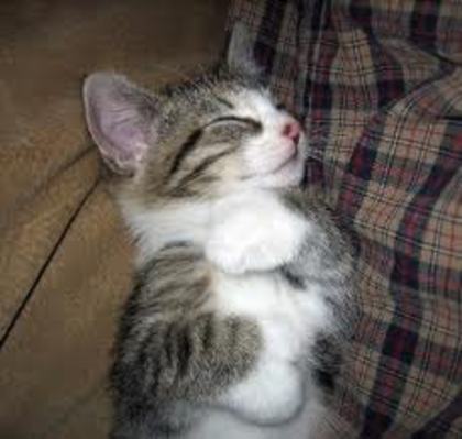images (83)