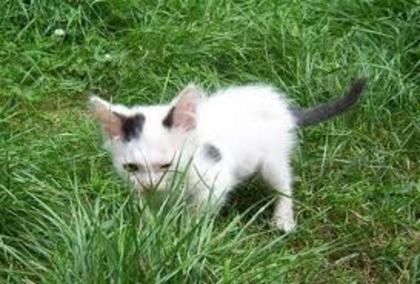 images (88)