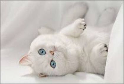 images (94)