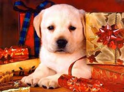 images (22)
