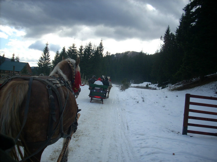 dec09-_Bucovina_322 - cai