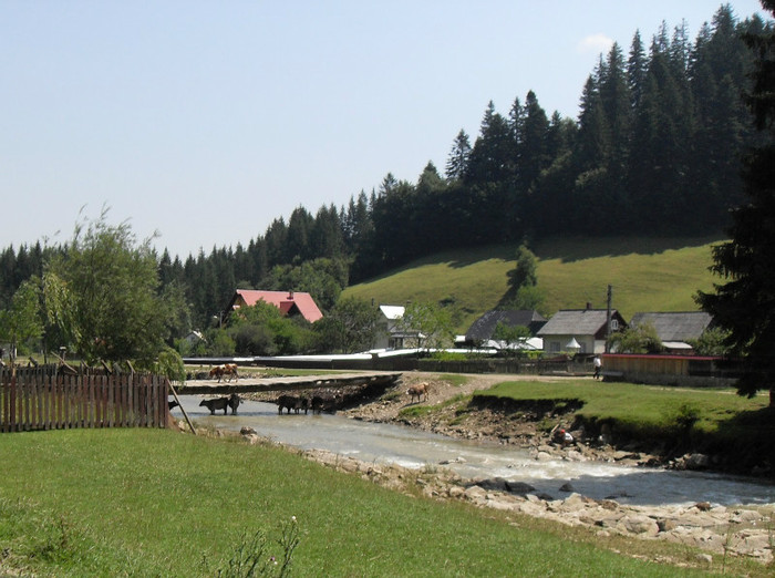 life-in-pictures-duminica-pegas-motorizat-amuzam-neimpozabil-vaci-bucovina-romania