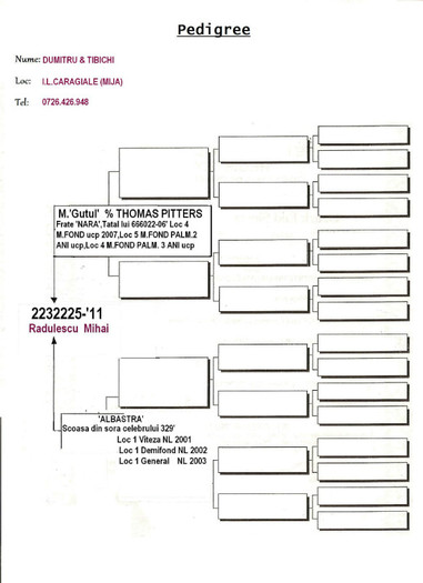 LOTUL DE ZBOR - PEDIGREE