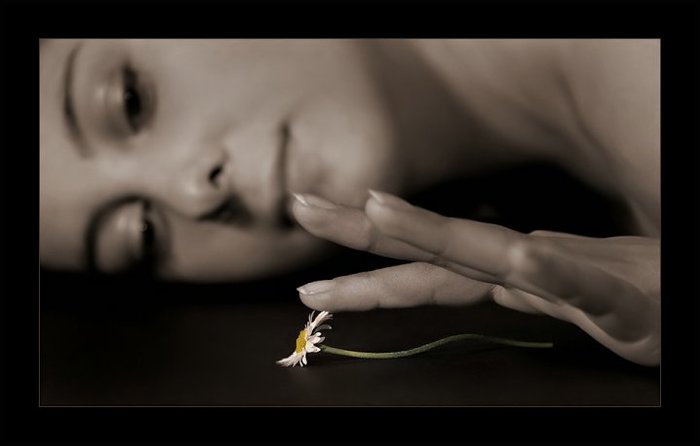 26227_377135537042_299560352042_3867942_2281538_n