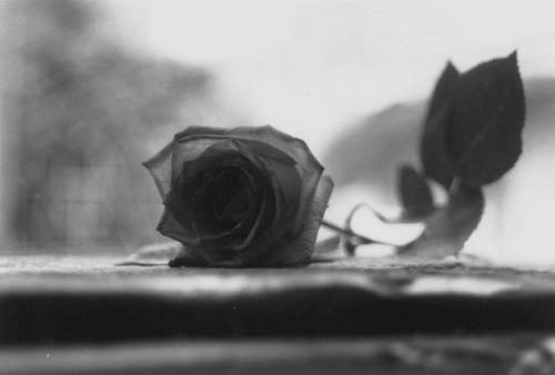 Attesa_Refoli_de_bora