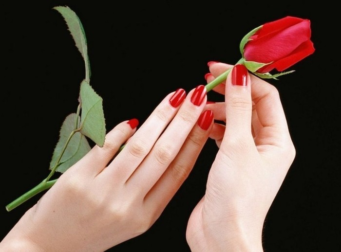 avatar_deosebit_frumoasa-si-trandafirul