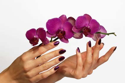 manipedi_cont01 - nou_monik