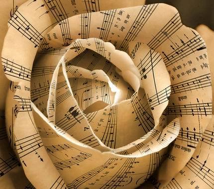 rosa-musicale
