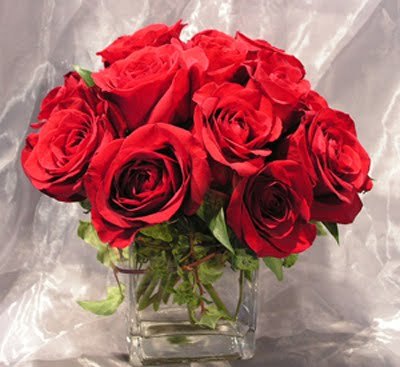 valentine compact roses-400