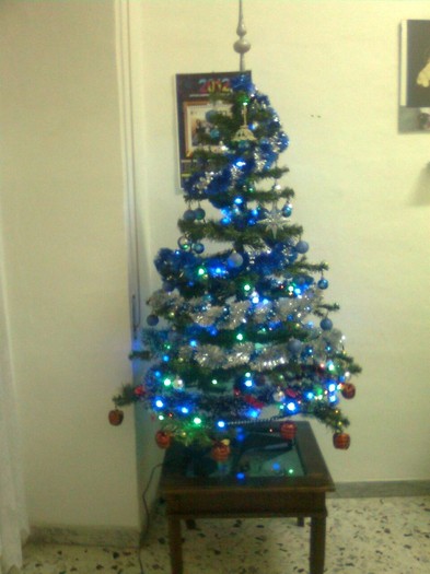 Immag1401 - danut_nou