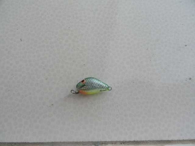 green dace; 2cm/1,2gr sink ancora de 12
