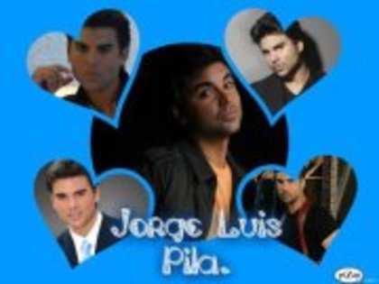 373637_156039801102143_1404209571_n