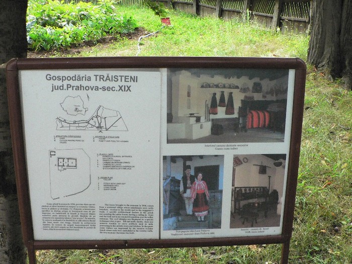 P1110810 - 2010 prin tara