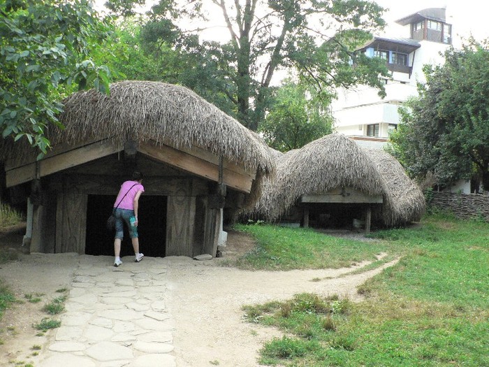 P1110824 - 2010 prin tara