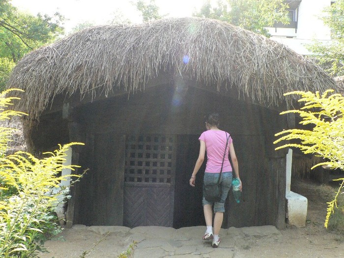 P1110830 - 2010 prin tara