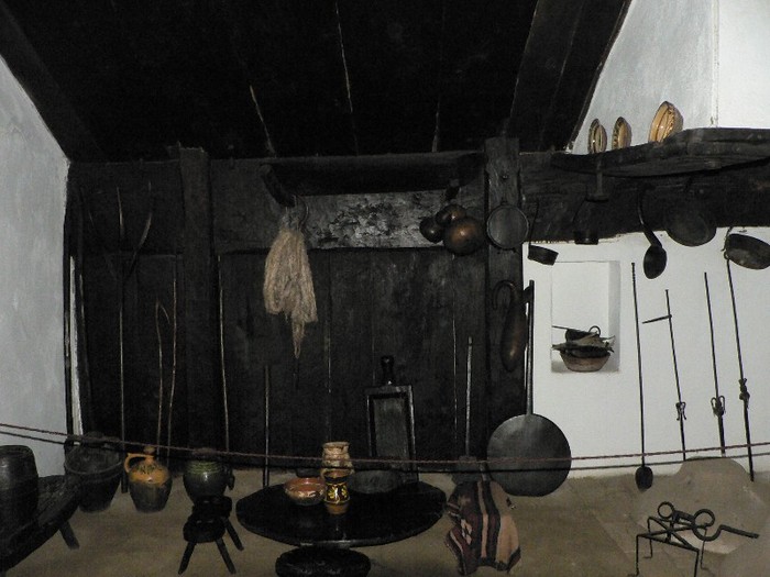 P1110833 - 2010 prin tara