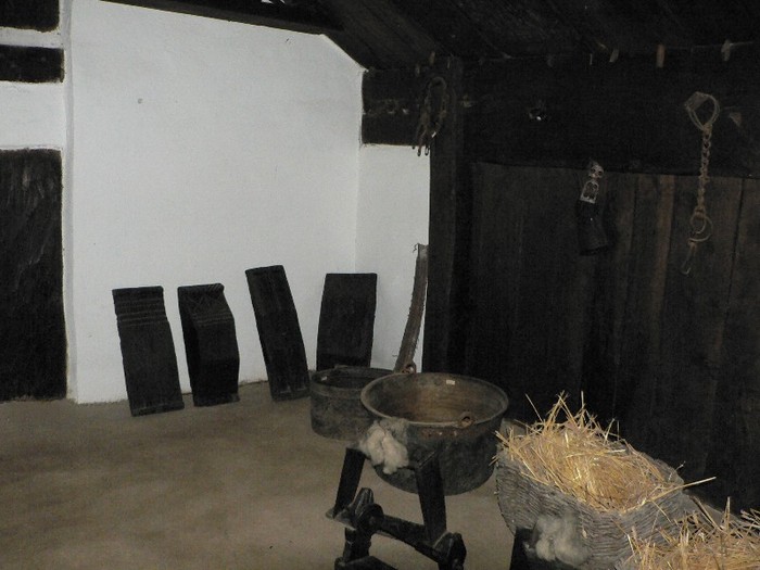 P1110834 - 2010 prin tara