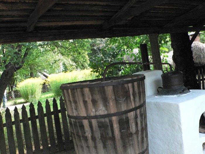 P1110840 - 2010 prin tara