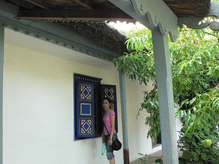 P1110855 - 2010 prin tara