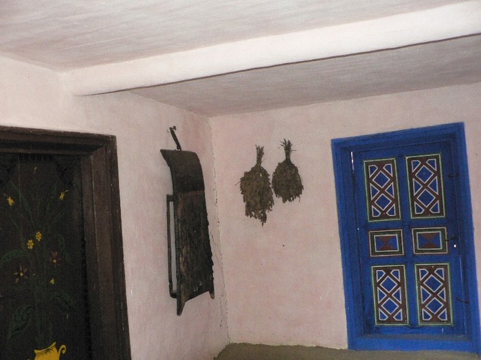 P1110862 - 2010 prin tara