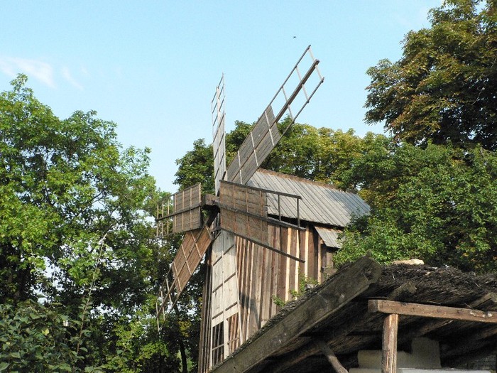 P1110864 - 2010 prin tara