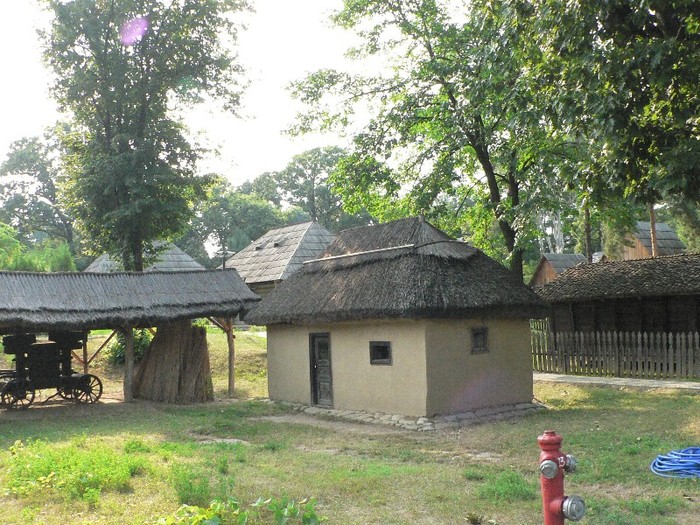 P1110865 - 2010 prin tara