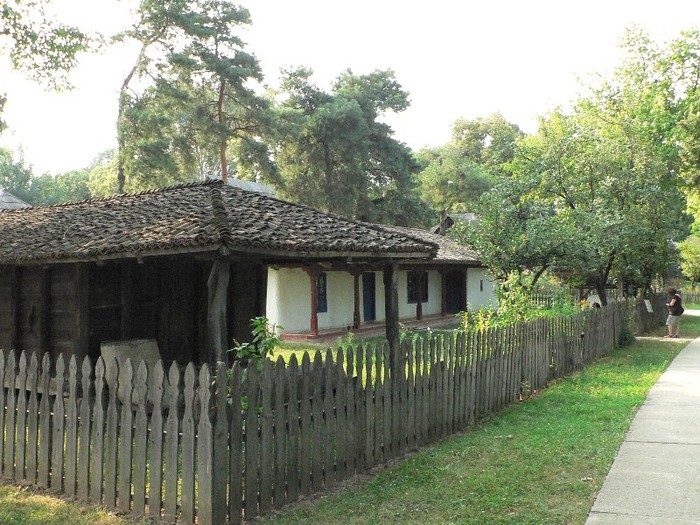 P1110867 - 2010 prin tara