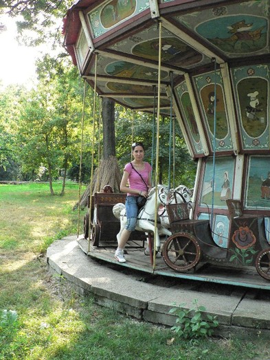 P1110893 - 2010 prin tara