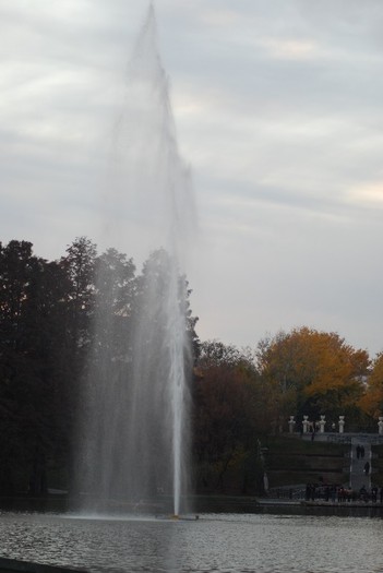 DSC_9489