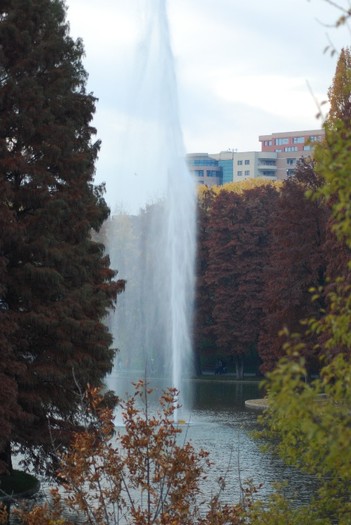 DSC_9493