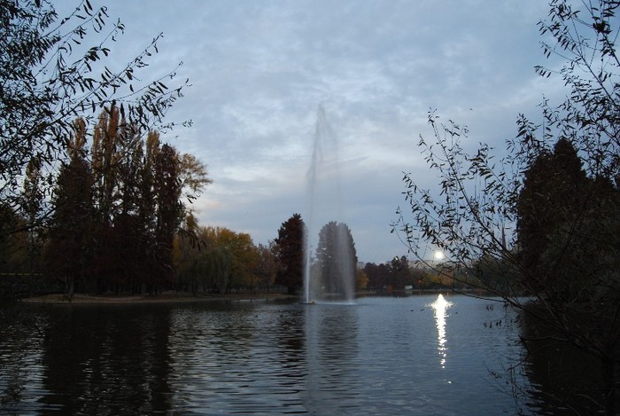 DSC_9504