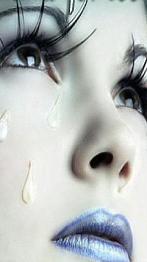 291767_215252065208365_100001707207266_568576_210906803_n