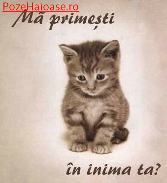 felicitari_ma_primesti_in_inima_ta - valentina