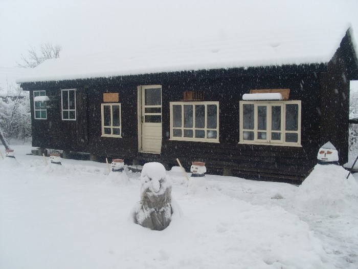 SL375094 - 9 poze diverse