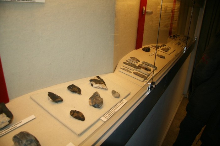 IMG_9147 - 2012 21 ianuarie Cu micutii la muzeu