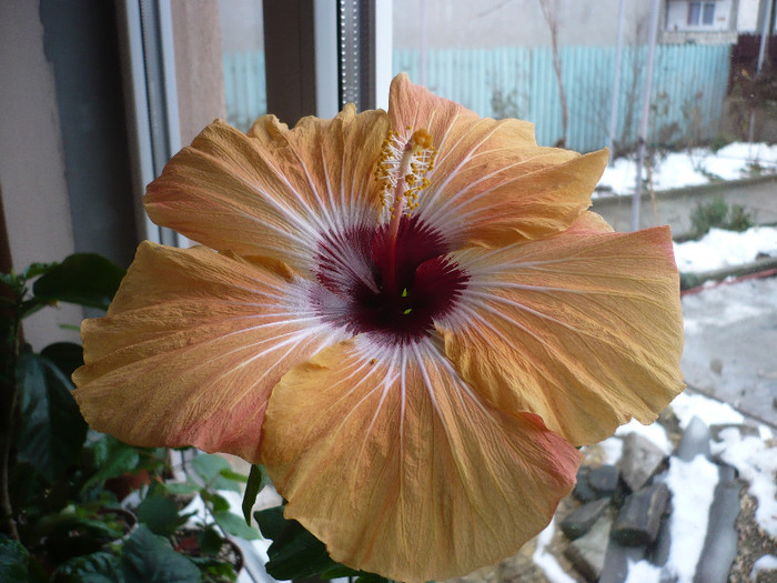 P1110300
