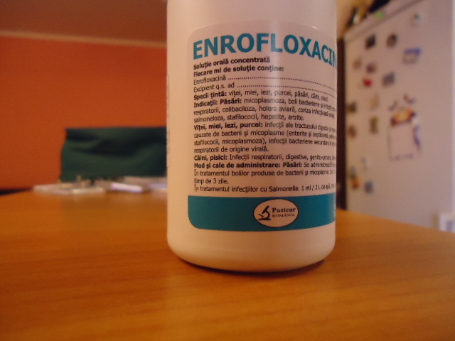 ENROFLOXACINA 10% - x-Medicamente necesare ingrijirii iepurilor de rasa