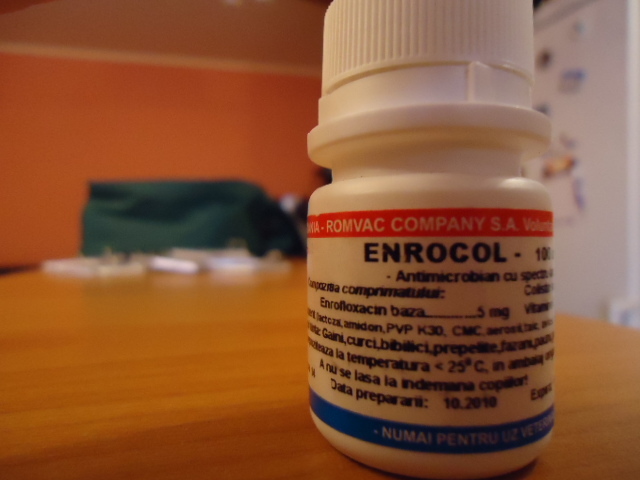 ENROCOL - x-Medicamente necesare ingrijirii iepurilor de rasa