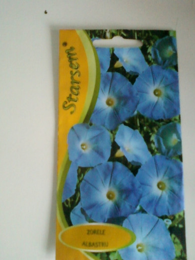 26 ian 2012 030