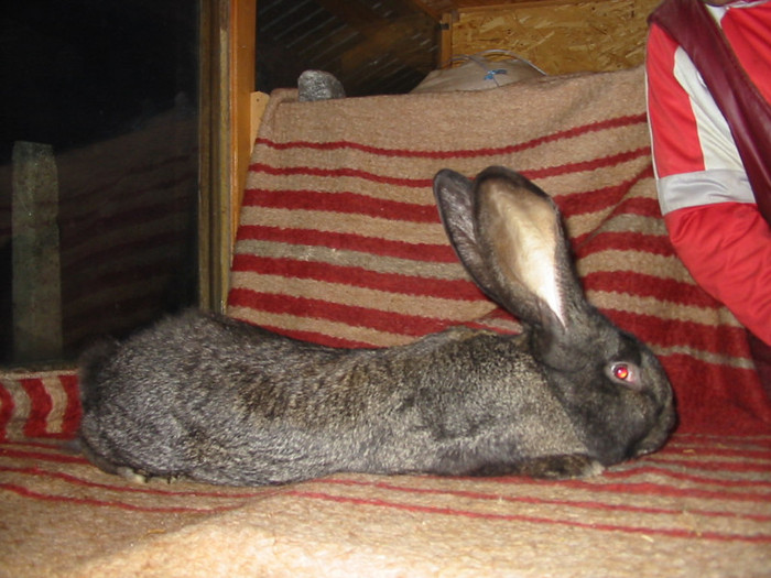 Picture 083