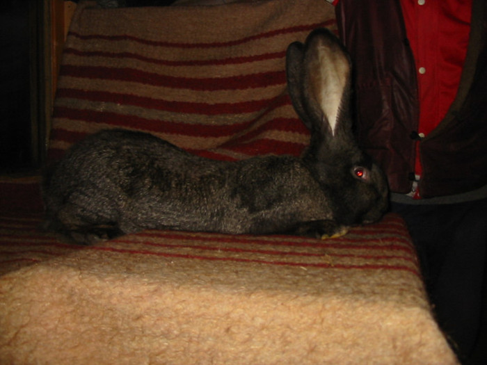 Picture 084