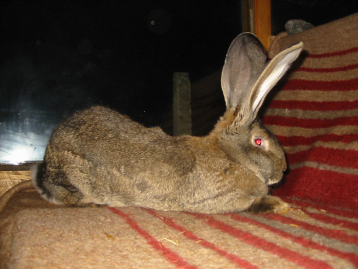 Picture 103
