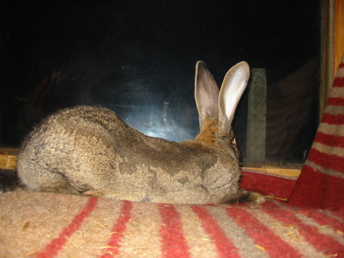 Picture 104