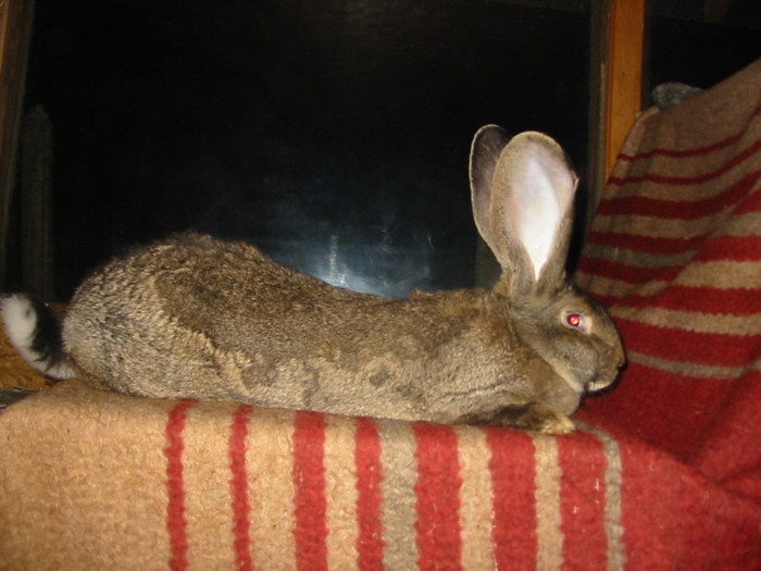 Picture 108