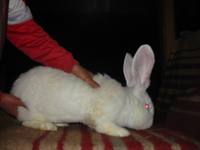 Picture 110