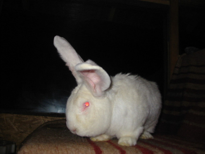 Picture 112